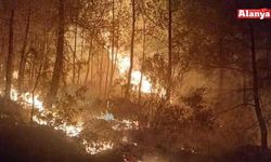 Gazipaşa'da ormanlık alanda çıkan yangın kontrol altına alındı