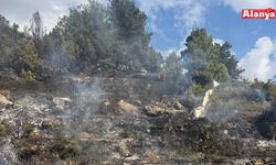 Alanya’da mezarlıkta çıkan yangın söndürüldü