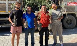 Alanya Ziraat Odası’ndan yangınlarda zarar gören üreticilere fidan desteği