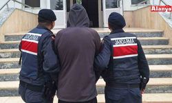 Alanya’da 2 firari hükümlüyü jandarma yakaladı