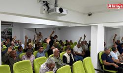 Alanya’da avokadonun nasıl satılacağına karar verildi