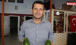 Hilmi Sevilgen’den ithal avokado iddiasına cevap