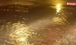 Alanya'da boşa akan su isyan ettirdi