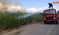 Dökülen çöpler kargıların yanmasına neden oldu