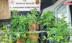 Alanya’da jandarma uyuşturucu satıcılarına göz açtırmıyor
