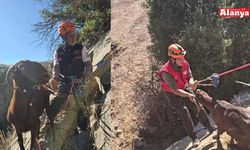 Film gibi operasyonla kurtarıldı