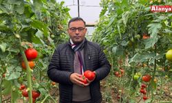 Alanya'da Domates Üretici Birliği kurulacak