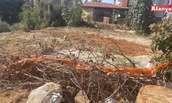 Alanya'da kamu alanı tartışması; 'Komşum Zorla Sahiplendi'