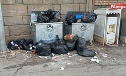Alanya'nın gözde mahallesi çöp yığınları ile doldu