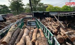 Yürürlük tarihi ertelendi, Alanya’da orman ürünü taşıyanlar dikkat!