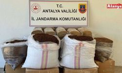 Gazipaşa’da yolcu otobüsünde 500 kilogram kaçak tütün ele geçirildi