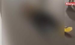 Alanya’da yola savrulan motosikletteki 2 kişi ağır yaralandı