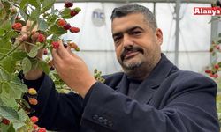 Alper Arıkan yaşamını yitirdi