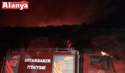 Diyarbakır Büyükşehir Belediyesi, Alanya’da yangına müdahale çalışmalarını sürdürüyor