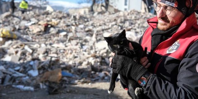 174 saat sonra enkazdan ‘Ardıç’ isimli kedi kurtarıldı | VİDEO HABER
