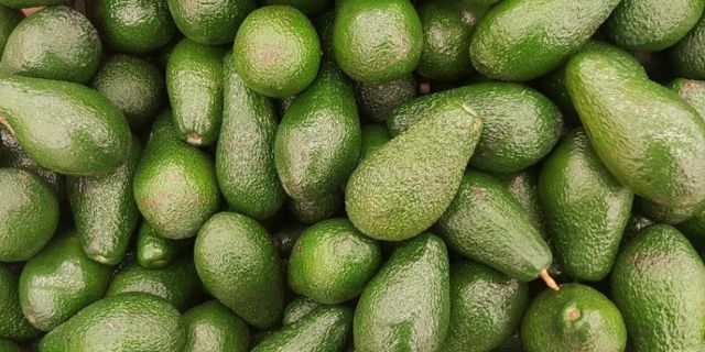 Alanya’da avokado hırsızı jandarmadan kaçamadı 