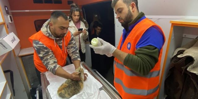 Antalya Büyükşehir Belediyesi veterinerleri Gaziantep’te