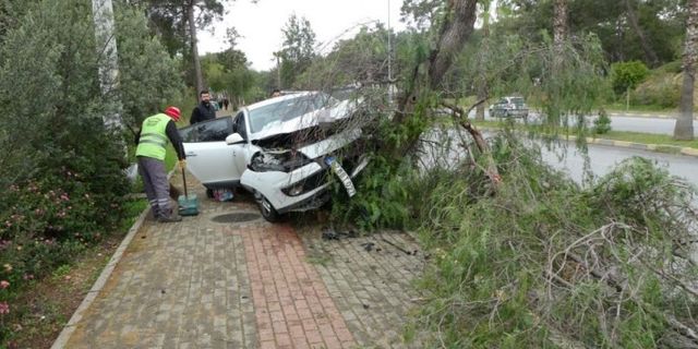 Kontrolden çıkan otomobil ağaca çarptı