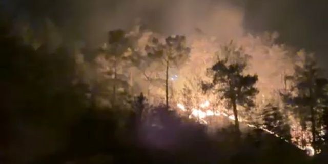 Gazipaşa’daki orman yangınında 3 dönüm alan zarar gördü