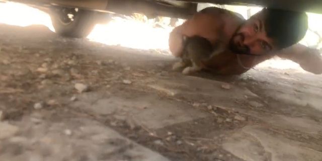 Kamyonetin altına yatarak sıkışan yavru kediyi kurtardı