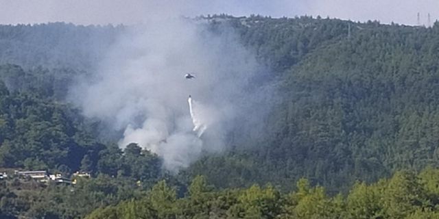 Alanya'da orman yangını başladı!