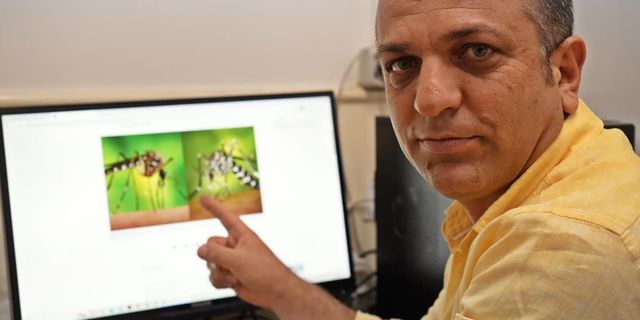 Böcek profesöründen 'sivrisinek' uyarısı: Kan emmeye devam ediyorlar