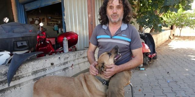 Veterinerin 'Uyutalım' dediği gözleri görmeyen köpeğe göz oldu
