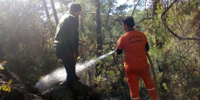 Orman yangını ağaçlar kül olmadan kontrol altına alındı