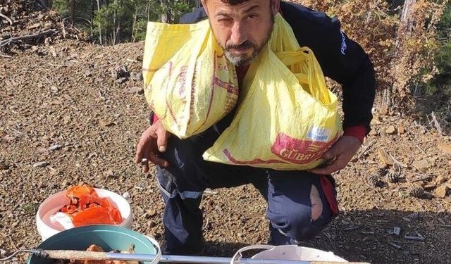 Alanya'nın komşusunda mantardan  90 bin lira kazanıyor