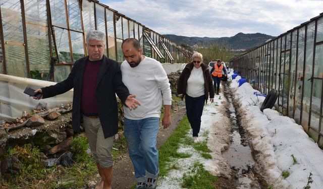 Alanya’da seraları zarar gören üreticiye naylon desteği verilecek