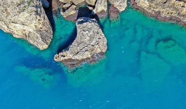 Dev denizanalarının sürü halindeki geçişleri dron ile görüntülendi