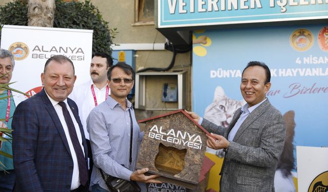 Alanya Belediyesi sokak hayvanlarını unutmadı