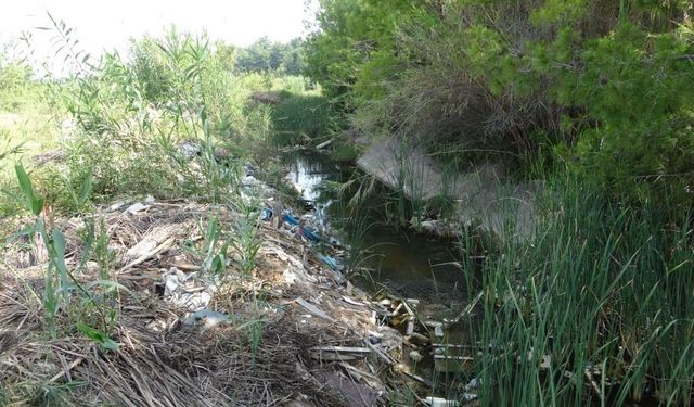 Alanya'nın komşusunda sulama kanalı çöplüğe döndü