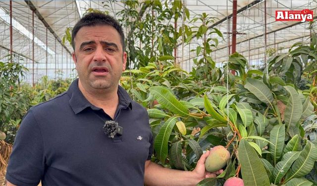 30 yıl önce deneme amaçlı ilk fidan dikildi, bugün 300 dönümden fazla alanda üretiliyor