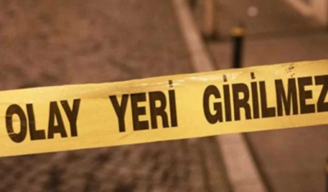 Alanya’da otomobil elektrik direğine çarptı: 1 yaralı