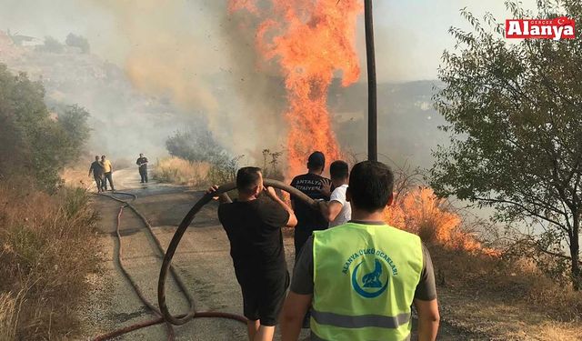 Alanya Ülkü Ocakları Yeşil Vatan nöbetinde