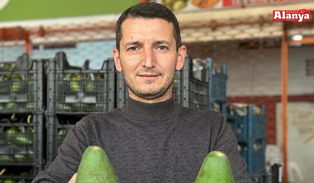 Hilmi Sevilgen: Avokado ve mango ithalatı kısıtlansın