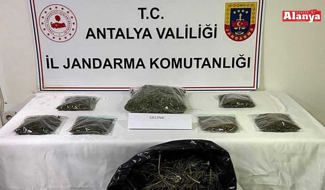 Alanya'da 800 gram uyuşturucu ele geçirildi