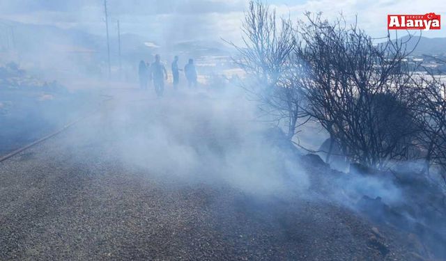 Gazipaşa'da zirai alanda yangın büyümeden söndürüldü
