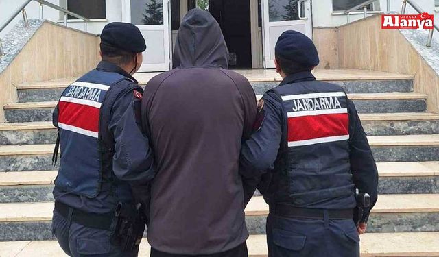 Alanya’da 2 firari hükümlüyü jandarma yakaladı