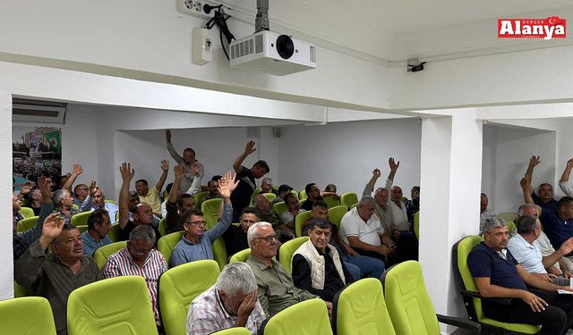 Alanya’da avokadonun nasıl satılacağına karar verildi