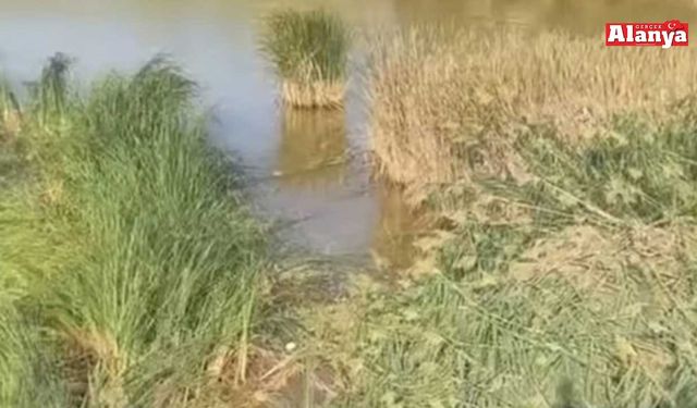 Vatandaştan kötü koku isyanı