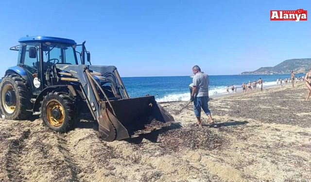Alanya'da sahiller temizlenmeye başlandı