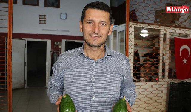 Sevilgen’den avokado üreticilerine uyarı