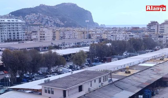 Alanya'da halde fiyatlar yükseldi