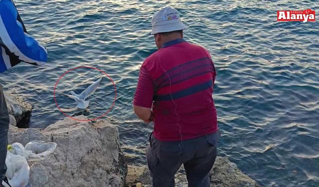 Bunu da gördük! Oltaya balık yerine martı takıldı