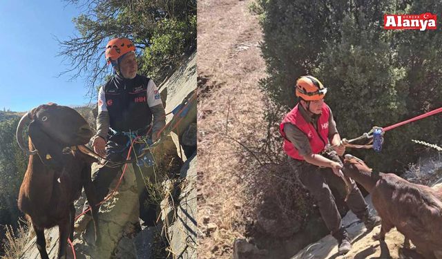 Film gibi operasyonla kurtarıldı