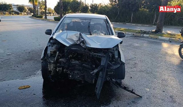 Palmiyeye çarpan otomobil hurdaya döndü