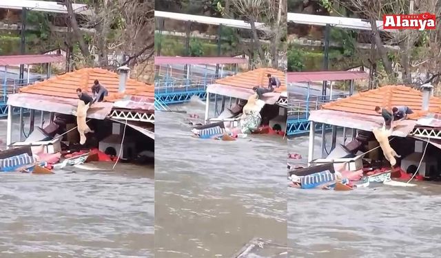 Alanya'da mahsur kalan köpeği böyle kurtardılar