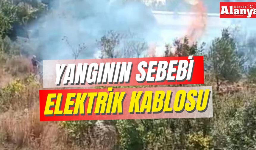 Bahçede çıkan yangın için seferber oldular